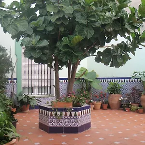 hostal-drago.es-andalucia.com/